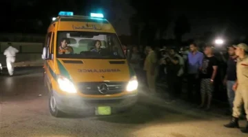 جريمة في زفتى.. كشف لغز مقتل مسن على يد نجليه داخل محافظة الغربية